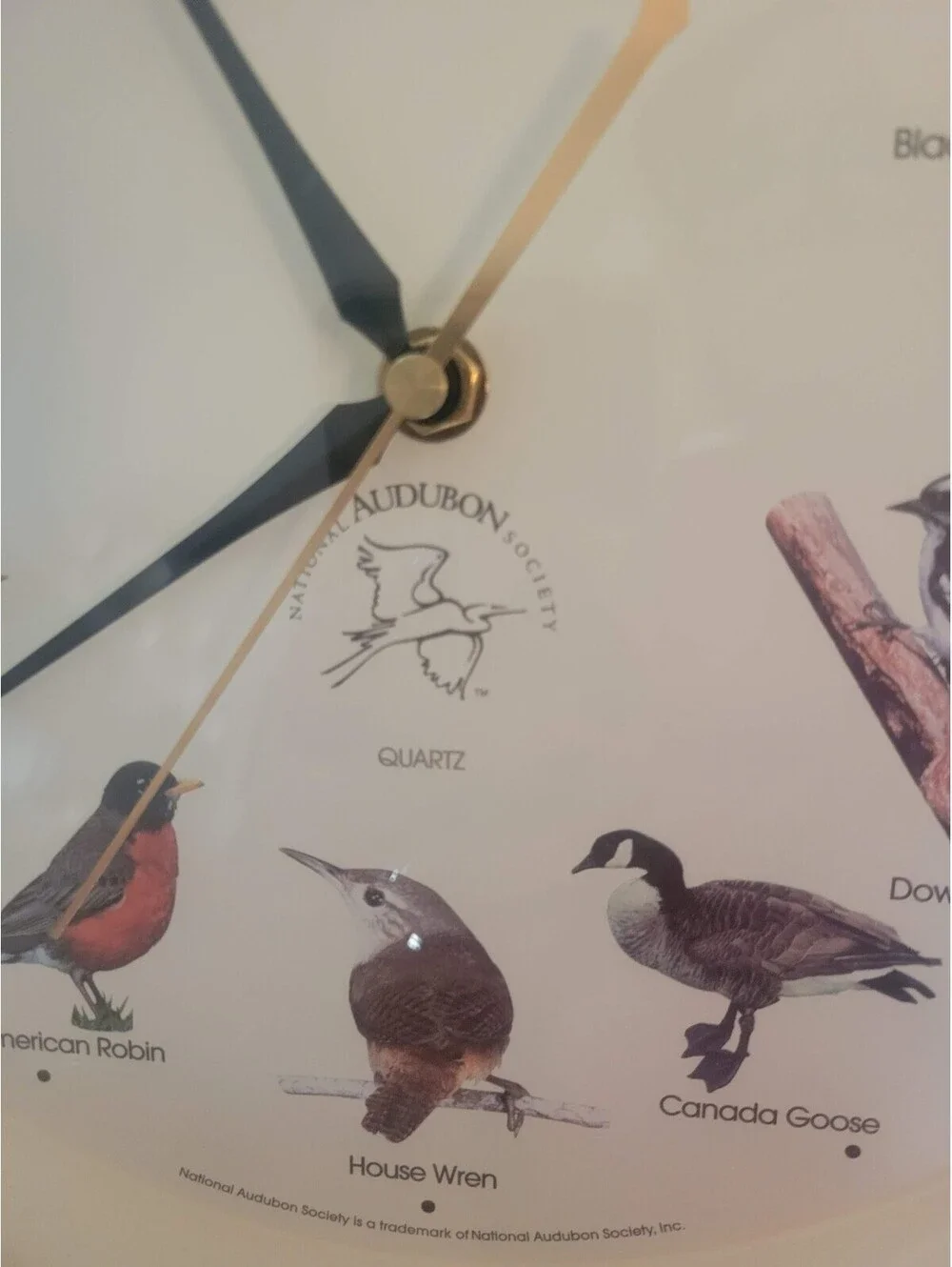 National Audubon Society Bird Song Wall Clock Musical Works